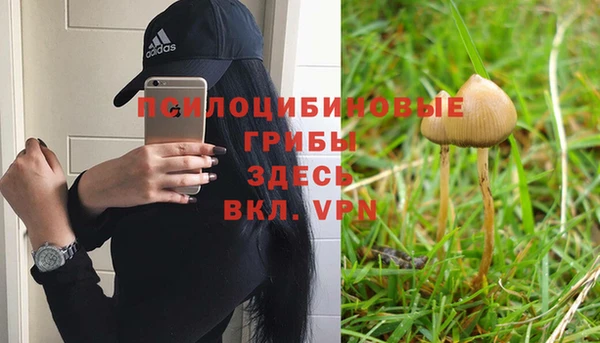 амф Богородск
